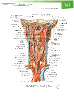 Sobotta Atlas of Human Anatomy  Head,Neck,Upper Limb Volume1 2006, page 148